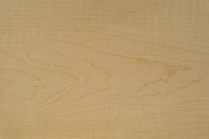 Maple (Curly)