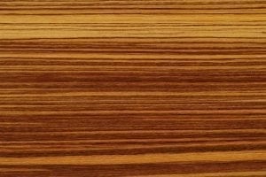 Zebrawood*